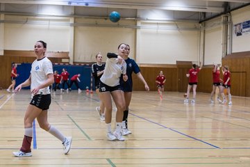 Bild 118 - F TSV Ellerau - HSG Tills Loewen 08 : Ergebnis: 16:18